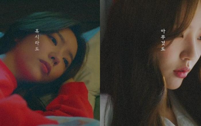 신예 홍지윤, 정승환 '달을 따라 걷다 보면' MV 여자 주인공 출연!