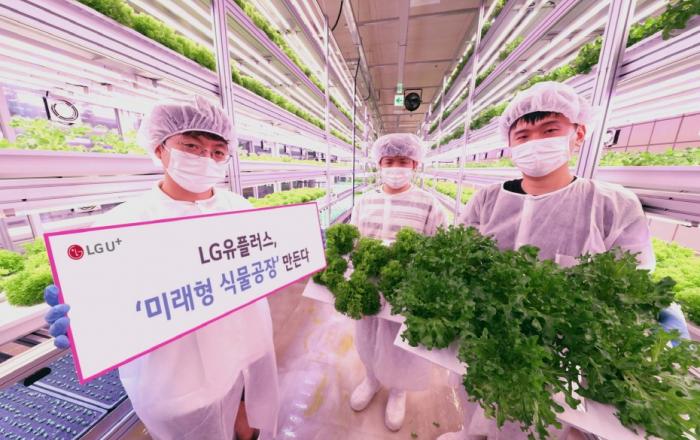LG유플러스, '미래형 식물공장' 만든다