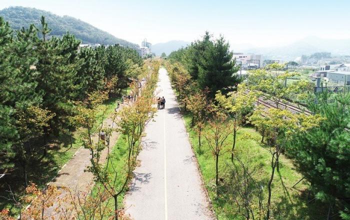 미세먼지 저감 등 숲 조성에 ‘25년까지 1조 원 투자