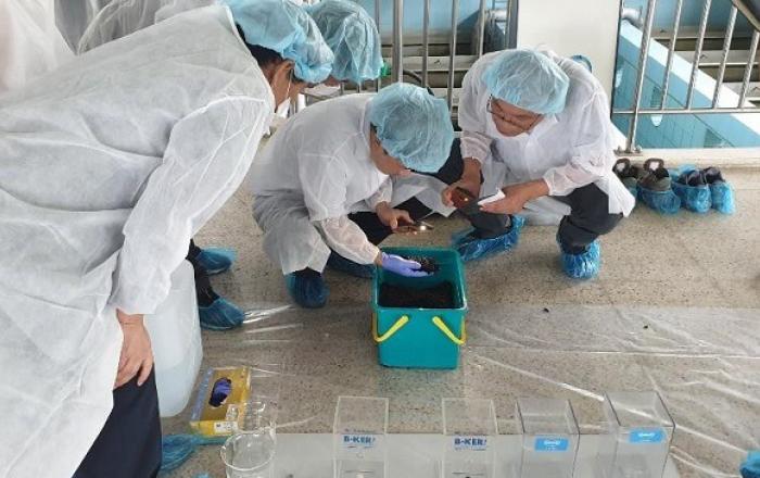 전국 일반정수장 435곳 전수조사…3곳 여과지에서만 소량 발견