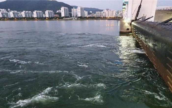 낙동강 하구에서 농어·고등어 상류로…생태복원 가능 확인
