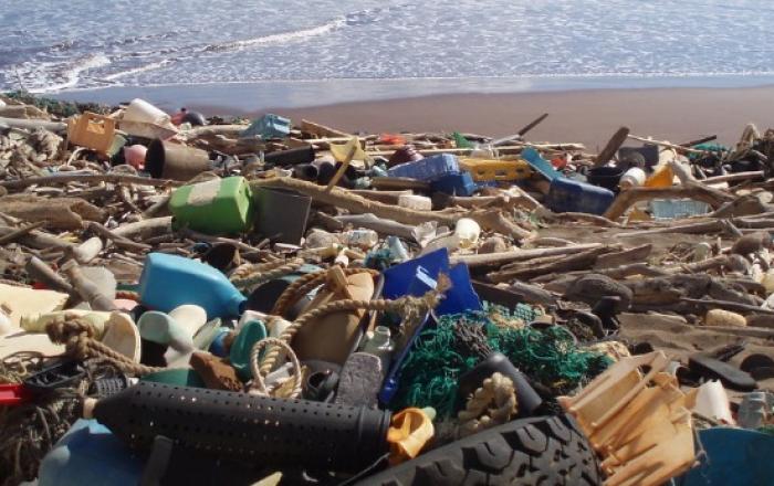 해수부, 집중호우로 발생된 해양쓰레기 긴급 수거·처리