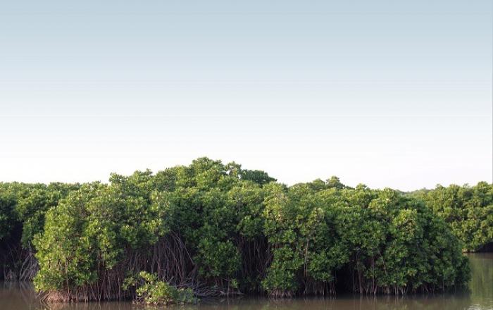 산림과 수산분야가 협력하는 첫 융합 공적개발원조 사업 시작