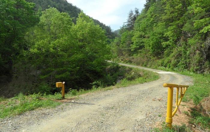 추석명절 임도 개방으로 성묘객 편의 제공