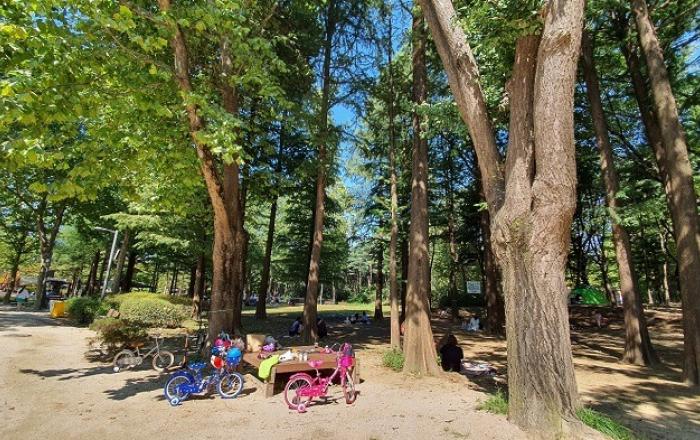 숲, 개인 삶의 만족도에 미치는 영향 결과 발표