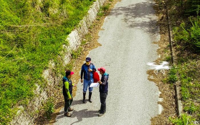 불법 버섯채취 기승, 불법 채취자 3명 입건