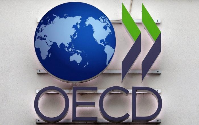 OECD 한국 성장률 전망, 회원국 중 1위 “올해 GDP 위축이 가장 작은 국가”