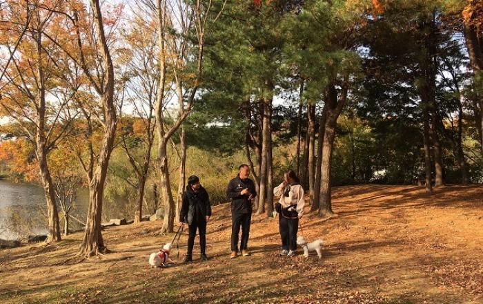 서울대공원, 온라인으로 즐기는 '제5회 동물원 속 미술관'