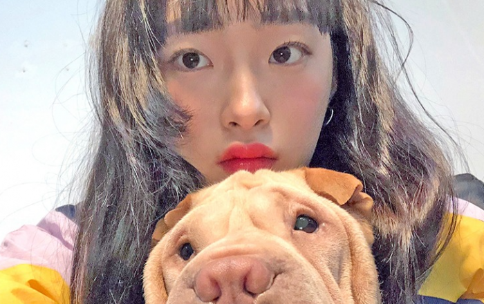 모델 김로사, ‘단로송’ 공개 예정…”연말 반려견과 함께 듣기 좋은 따뜻한 노래”