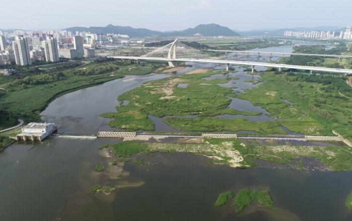보 개방했더니 남조류 점유율 낮아져…생태계에 건강 신호