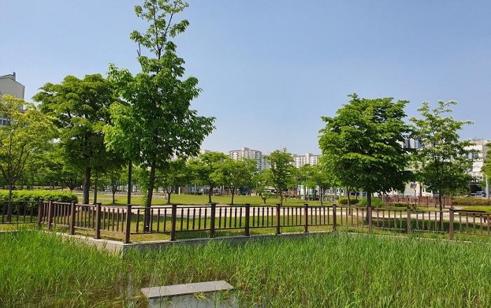 올해 미세먼지 차단숲 7.4ha 조성‥도심지 미세먼지 저감의 새 모델 제시