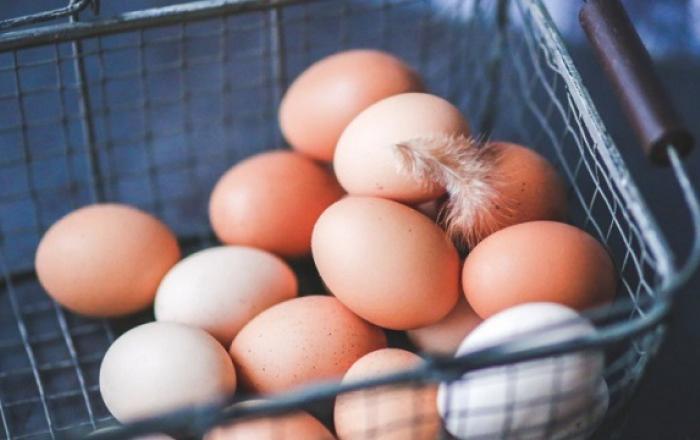 축산물 수급안정 대책…신선란·달걀가공품 한시 관세 면제