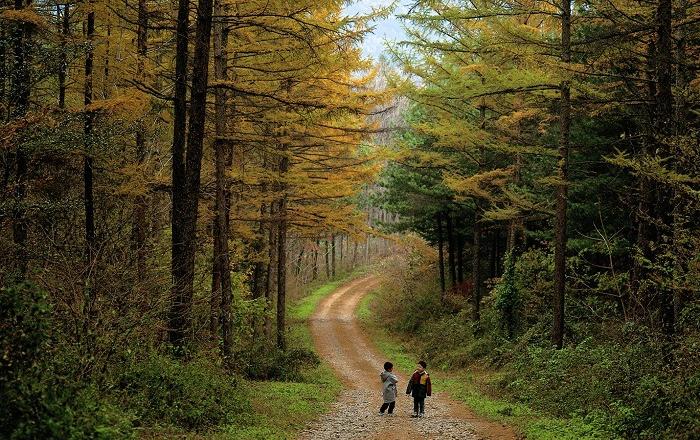 산림경영률 제고로 국가 온실가스 감축목표(NDC) 달성 기여