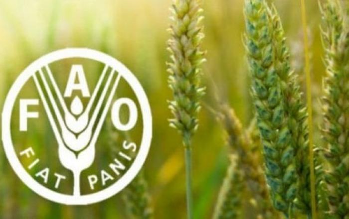 세계식량가격지수 상승 추세 지속