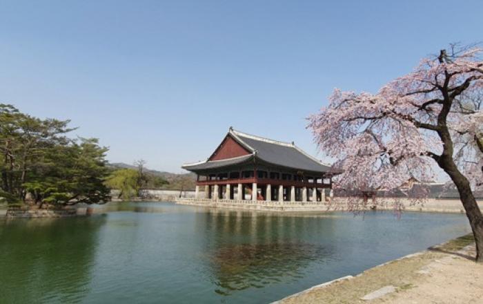 봄꽃 개화 평년보다 빨라...궁궐·왕릉 봄꽃 4월에 절정 전망