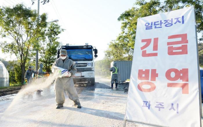 파주시, 아프리카돼지열병 2차 발생 농가 예방적 안락사 순차적 진행